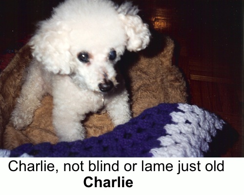 charlie1