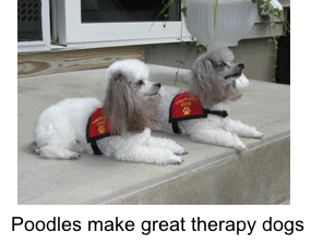 hollylilytherapy